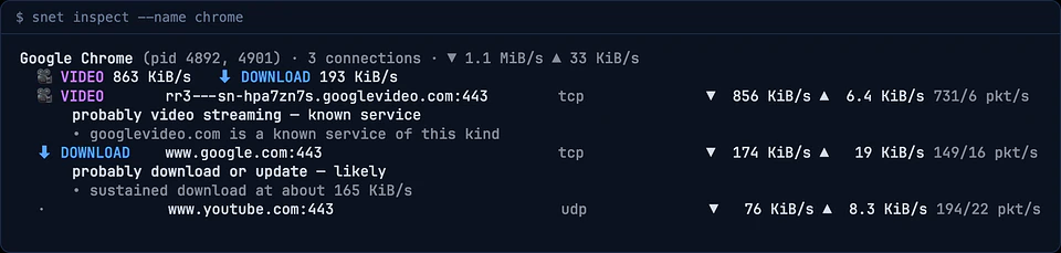 Real output of snet inspect --name chrome