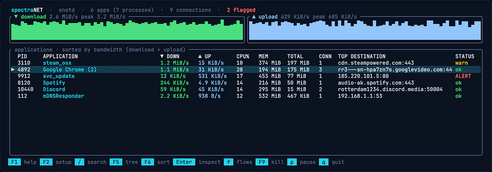 Real output of snet top